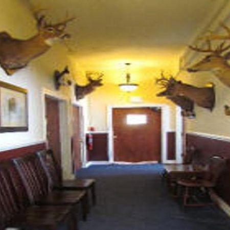 Macarthur Inn Narrows Экстерьер фото